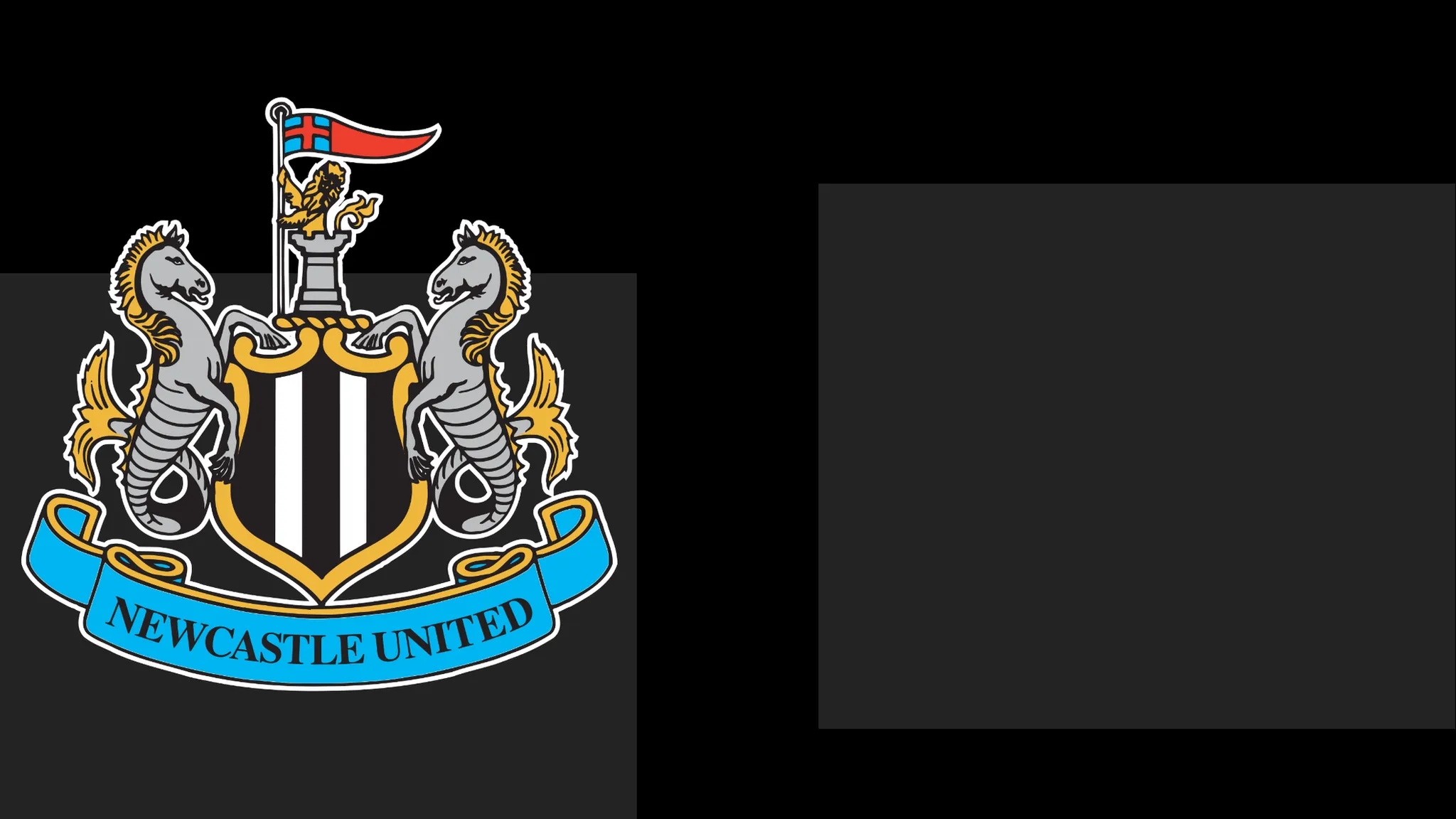 Newcastle's boss Praises Team's Spirit – But That Only Carries Them This Far