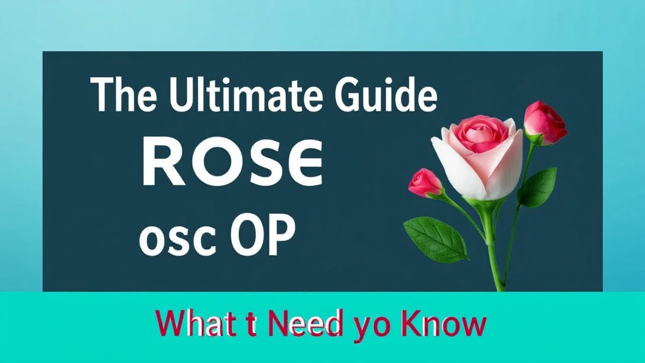 The Ultimate Guide to Rose OP Services: What You Need to Know