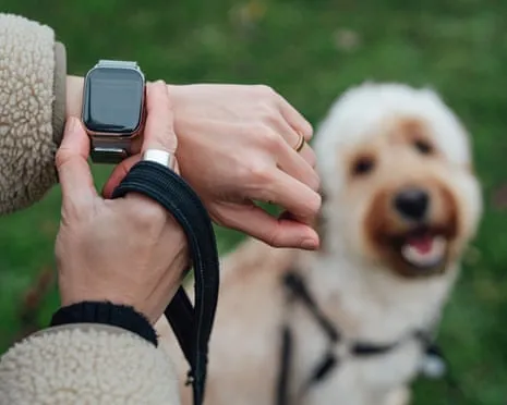 The Reality Concerning Fitness Trackers? Life Improves Without a Nagging Zealot on Your Arm